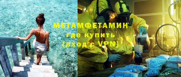 шишки Горно-Алтайск