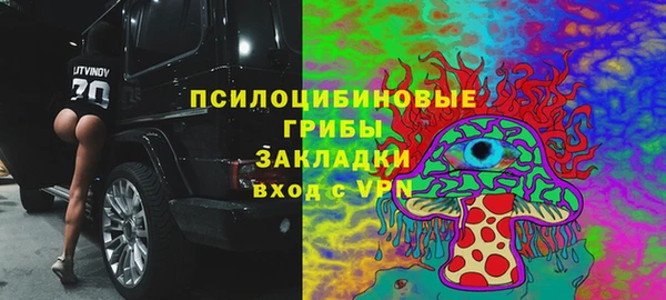 ПСИЛОЦИБИНОВЫЕ ГРИБЫ Горнозаводск