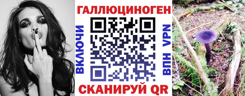 как найти закладки  Кологрив  Псилоцибиновые грибы Psilocybe 