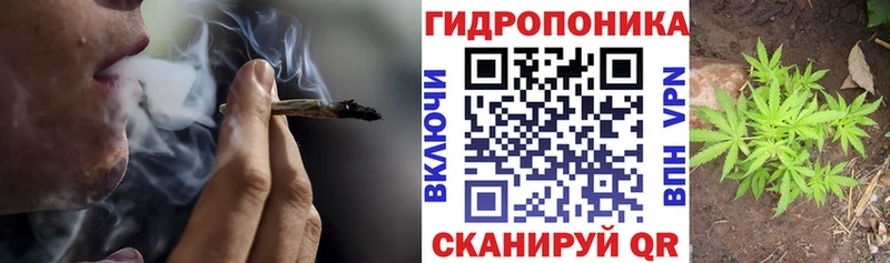 где купить наркотик  дарк нет как зайти  Шишки марихуана THC 21%  Кологрив 